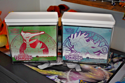 Pokemon Center Temporal Forces ETB Set (Both) - Sealed with Protective Cases - Image 1
