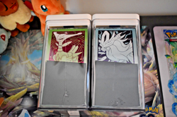 Pokemon Center Temporal Forces ETB Set (Both) - Sealed with Protective Cases - Image 3