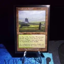 MTG TCG - Windswept Heath (Retro Frame) #440 - Modern Horizons 3 - Image 1