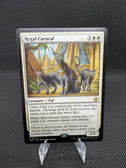 Regal Caracal Foundations Regular - Image 1