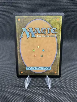 Regal Caracal Foundations Regular - Image 2