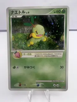 Pokemon Card Turtwig Chimchar Piplup Players Fan Club Promo Holo Japanese - Image 2