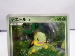Pokemon Card Turtwig Chimchar Piplup Players Fan Club Promo Holo Japanese - Image 3