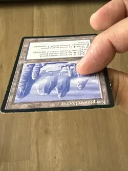 Karplusan Forest (MTG- Ice Age) Medium Play Normal English 1995 - Image 5