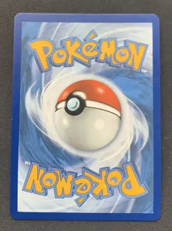 Blaziken V 020/198 Chilling Reign Ultra Rare Holo Pokemon TCG Card NM - Image 2