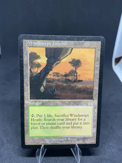 Windswept Heath Onslaught Regular MTG #328 HP - Image 1