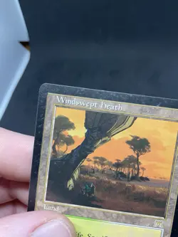 Windswept Heath Onslaught Regular MTG #328 HP - Image 3