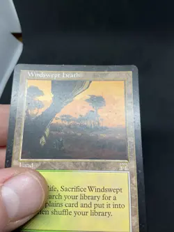 Windswept Heath Onslaught Regular MTG #328 HP - Image 4