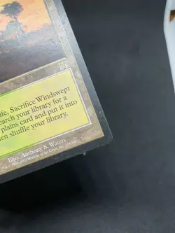 Windswept Heath Onslaught Regular MTG #328 HP - Image 5