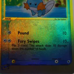 Mudkip - 60/109 Common Ruby and Sapphire Reverse Holo Pokemon - Image 4