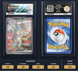 Reshiram EX 166/086 White Flare SIR Pokemon TCG Ace 10 Perfect Subgrades - Image 2