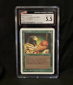 Natural Selection Unlimited LP EX+ CGC (8024) Grade 5.5 Magic the Gathering MTG - Image 1
