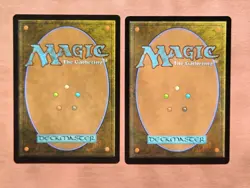 2x Sunspine Lynx (Borderless) **NEAR MINT** **UNPLAYED** MTG - Image 4