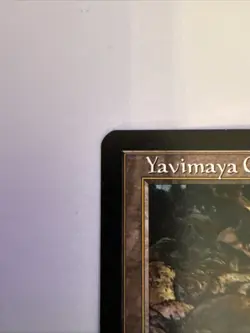 Magic The Gathering Yavimaya Coast Apocalypse #143 - Image 2
