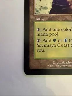 Magic The Gathering Yavimaya Coast Apocalypse #143 - Image 5