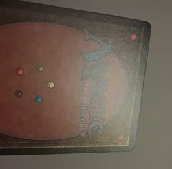 Sea Serpent LP Beta MTG Magic the Gathering - Image 5