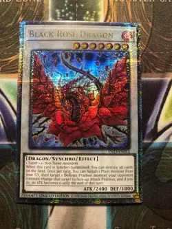 *** BLACK ROSE DRAGON *** QUARTER CENTURY SECRET RARE TN23-EN014 YUGIOH! - Image 1