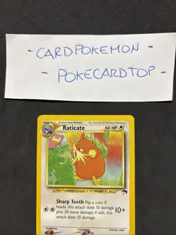Pokemon Card Raticate 6/18 - Southern Island - Eng-No Holo-Nm/Mint! - Image 2