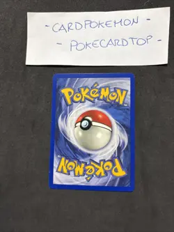 Pokemon Card Raticate 6/18 - Southern Island - Eng-No Holo-Nm/Mint! - Image 4