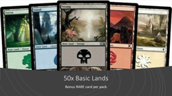 50x Basic Lands - Magic the Gathering Cards - MTG BULK - *Bonus RARE card* - Image 1