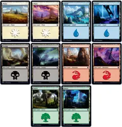 50x Basic Lands - Magic the Gathering Cards - MTG BULK - *Bonus RARE card* - Image 2