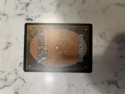 Delina, Wild Mage SHOWCASE NM MTG Magic AFR D&D Forgotten Realms EDH - Image 2