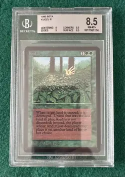 Kudzu - BETA - MTG - BGS 8.5. NM-MT+. Quad++. More Vintage MTG In My Store. - Image 1
