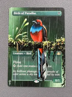 Birds of Paradise MTG Dominaria Borderless Hand Painted Extended Altered Art oj - Image 1