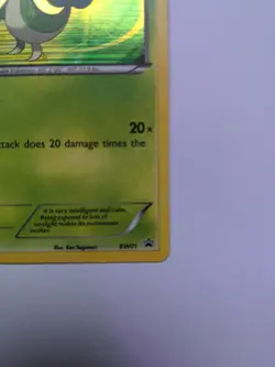 Pokemon TCG · Snivy BW01 · Holo · Black Star Promo (2012) NM/LP - Image 2