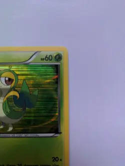 Pokemon TCG · Snivy BW01 · Holo · Black Star Promo (2012) NM/LP - Image 3