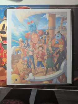 One piece TCG Straw Hats Binder Collection - Image 1