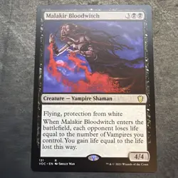 Malakir Bloodwitch Zendikar NM! - Image 1