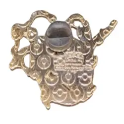 2015 TCG Roaring Skies Mega Rayquaza Metal Enamel Pin Japanese Collector's - Image 2