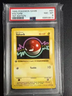 1999 Pokemon 1st Edition Shadowless Voltorb #67 PSA 8 - Image 1