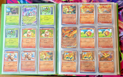 Pokemon Destined Rivals Complete Base Set All Common, Holo, Reverse and EX card - Image 4