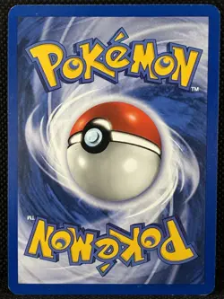 1999 Pokemon Eevee 11/53 WOTC Black Star Promo Holo Promo Holo LP Partial Swirl - Image 2