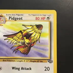 Pokemon Vintage Non-holo Rare Pidgeot Jungle 24/64 WotC 1999 - Image 3