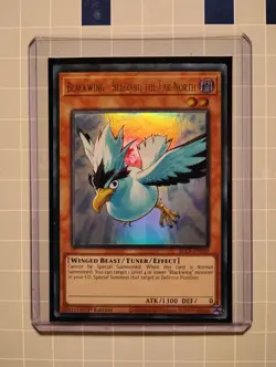 Yu-Gi-Oh! Blackwing - Blizzard The Far North #BLCR EN059 BLCR 1st Edition - Image 1