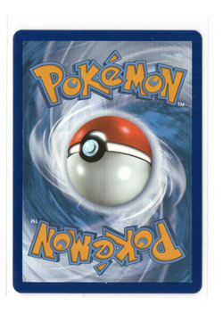 Pokemon TCG Pikachu V SWSH198 - Ultra Rare Holo Black Star Promo Game Freak - NM - Image 2