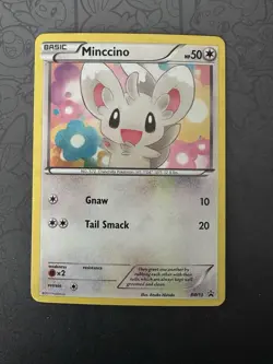 Pokemon TCG Minccino Black & White BW13 Holo Promo Promo - Image 1