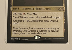 MTG Savai Triome - Ikoria Lair of Behemoths #253 - Image 3