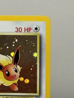 Pokemon - Eevee 11/53 - Wotc - Black Star Promo Holo NM - Image 3