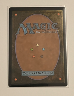 MTG Shipwreck Marsh - Borderless Foil - Innistrad: Midnight Hunt - #285 - Image 2