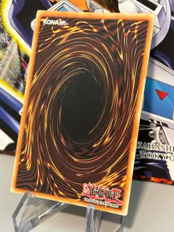 YuGiOh Ghost Sister & Spooky Dogwood DUDE-EN005 1st Edition Ultra Rare - Image 5