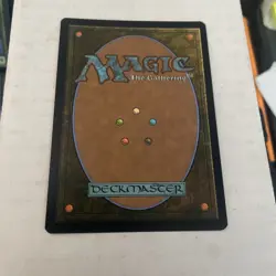 Ajani, Outland Chaperone (Borderless) M Lorwyn Eclipsed 284 NM - Image 2