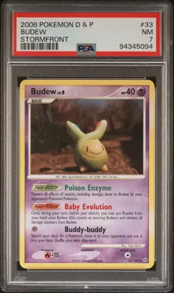 Budew 33/100 Regular Stormfront Pokemon Card NM PSA 7 - Image 1