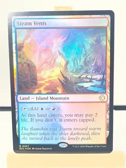 (2) Foil Steam Vents Land (1 Borderless 0348, 1 R 0267) MTG Lorwyn Eclipsed WOTC - Image 2