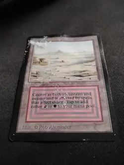 Magic: The Gathering Beta Badlands Land Regular English Rob Alexander - Image 4