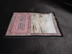 Magic: The Gathering Beta Badlands Land Regular English Rob Alexander - Image 5