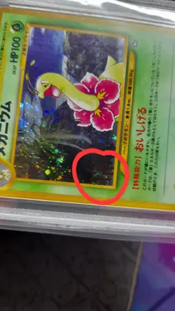 pokemon tcg 2000 Japanese Neo Genesis Meganium #154 rare holo PSA 9 SWIRL MINT - Image 3